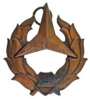 1947. "Közbiztonsági Bronz Szolgálati Jel" bronz kitüntetés mellszalag nélkül, hátoldalán "MÁPV (Magyar Állami Pénzverő)" gyártói jelzéssel T:AU Hungary 1947. "Distinction for Public Security Service, Bronze Grade" bronze decoration without ribbon, with "MÁPV (Hungarian National Mint)" maker's mark C:AU NMK 501.