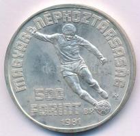 1981. 500Ft Ag "Labdarúgó Világbajnokság 1982" műbőr tokban T:BU folt Adamo EM65