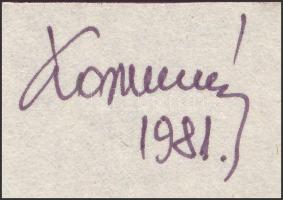 Koppány Frigyes (?-?): Hegy, várral, 1981. Filctoll, karton, jelzett. 28x37,5 cm