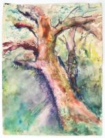 Antal Irén (1903-1999): Színes fák. Akvarell, pasztell, papír, jelzett, 50×35 cm