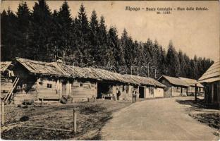 Alpago, Bosco Cansiglio, Pian delle Osterie (EK)