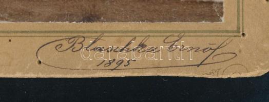 1895 Sugó-szoros (?) sziklaképződményei, kartonra kasírozott fotó, feliratozva (Blaschka Ernő névbej...