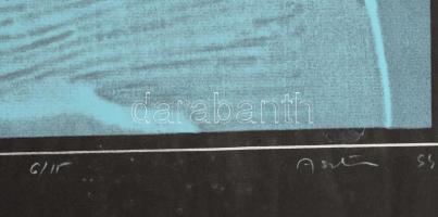 Ásztai Csaba (?-): Türkiz kép (olvashatatlan címmel). Szitanyomat, papír. Jelzett, számozott (6/15)....