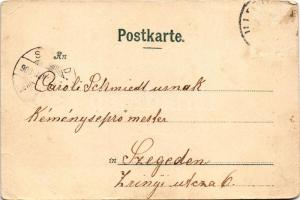 1900 Illertissen, Rathaus, Stätter'sche Brauerei, Gasthof zum Löwen / town hall, brewery, inn. ...