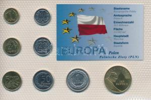 Lengyelország 1995-2010. 1g - 2Zl (8xklf) "Európa pénzérméi" vákuum csomagolt forgalmi érme összeállítás T:UNC-AU Poland 1995-2010. 1 Grosz - 2 Zlotych (8xdiff) "Coins of Europa" vacuum-packed circulation coin set C:UNC-AU