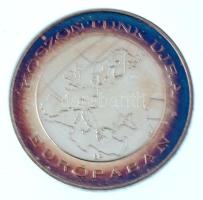 2004. "Csatlakozás 2004 / Köszöntünk újra Európában" ezüstözött fém emlékérem sérült, nem ...