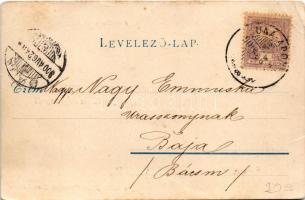 1900 Adony, Duna-Adony; községháza, takarékpénztár, Grófi kastély. Kapható Reich Gábornál (EB)