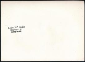 1945 Szendrő István (1908-2000): Budapest az ostrom után, a szétlőtt Déli Pályaudvar és Budai Vár, h...