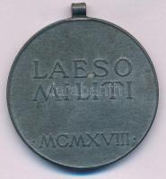 1918. "Sebesültek Érme" Zn kitüntetés mellszalag és függesztőkarika nélkül. Szign.: R. Placht T:XF Hungary 1918. "Wound Medal" Zn decoration without ribbon and ring. Sign.: R. Placht C:XF NMK 328.