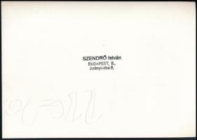 1945 Szendrő István (1908-2000): Budapest, felrobbantott vasúti híd a Soroksári Duna-ágon, a hátolda...