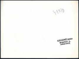 cca 1930-1940 Szendrő István (1908-2000): Vitorlás a Balatonon, a hátoldalon pecséttel jelzett fotó,...