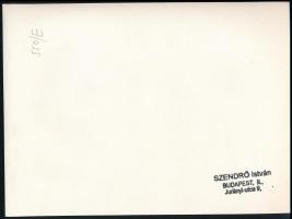 cca 1930-1940 Szendrő István (1908-2000): Kisfiú motoros vagy hegesztő szemüvegben, a hátoldalon pec...