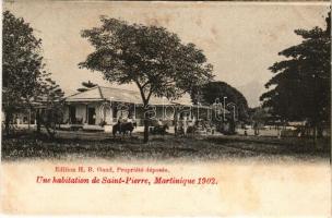 Saint-Pierre, Une habitation de Saint-Pierre, 1902. (r)