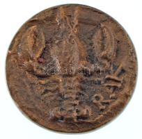 Asszonyi Tamás (?) (1942-) 2001. "BÚÉK" kétoldalas, előlapon rákot ábrázoló bronz névjegyérem (~29mm) T:XF