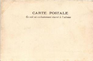 Saint-Pierre, Panorama de St-Pierre avec le Mont Pelée, qui fit éruption le 7 Mai 1902. (wet corners...