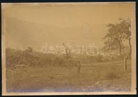 cca 1880-1890 Jolsva (Jelšava) felvidéki város távlati látképe, keményhátú fotó Divald Károly budapesti műterméből, kissé foltos, hátoldalán felületi sérüléssel, 11x16 cm