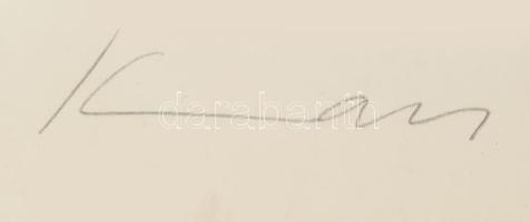 Holland Kelet-India 1790. 1D Cu "Great Historic Coins of the World" felbélyegzett borítékb...