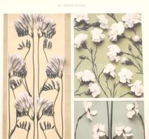 cca 1910 Documents d'Art Decoratif d'apres nature Le Decor Floral. 50 planches. Bordures e...