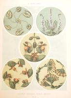 cca 1910 Documents d'Art Decoratif d'apres nature Le Decor Floral. 50 planches. Bordures e...