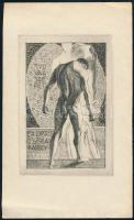 Gyömrői Sándor József (1887-1936): Ex libris dr. Gerlai Károly, tudva a szépet (szecessziós kisgrafi...