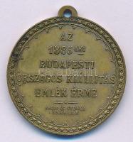 1885. "Az 1885iki Budapesti Országos Kiállítás Emlék Érme/ Rudolf trónörökös a kiállítás védnök...