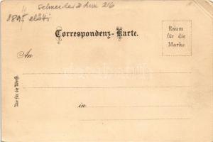 Wien, Vienna, Bécs; Votiv Kirche, K.k. Hof-Oper, Elisabethbrücke u. Karlskirche / church, opera hous...