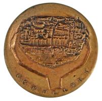 DN "Csepelért" bronz plakett (~116mm) Szign.:C A(?) T:AU