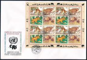 ENSZ Genf 1995