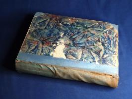 [Folyóirat] Heti Ujság. Falus Ferenc riportlapja. Megjelenik minden szombaton. VIII. évfolyam, 1-50/...