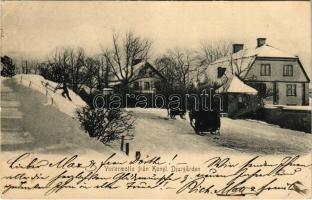 Stockholm, Vintermotiv fran Kongl. Djurgarden / winter, horse sled (EK)