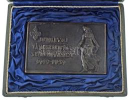 1959. "Jubileumi Táncfesztivál Sztálinváros 1919-1959" fém plakett, eredeti dísztokban (104x156mm) T:AU