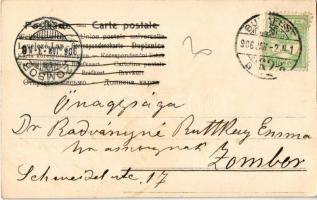 1906 Boldog Újévet / New Year greeting art postcard with bathing pigs and clovers. litho (EK)