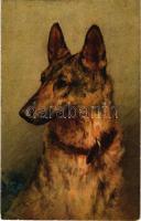 Dog. St. F. Z. No. 110. (EK)