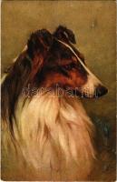 Dog. St. F. Z. No. 111. (fl)