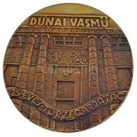 Palotás József (1947-) DN "Dunai Vasmű 25 éves Törzsgárdatag" öntött bronz plakett, hátoldalán "1563" sorszámmal, dísztokban (90mm) T:AU