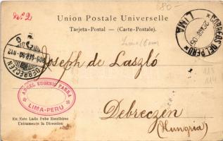 1905 Indios Anueshes (Peru) / Peruvian folklore. Art Nouveau, Floral with swallows (EK)