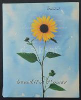 198 db főleg régi magyar és külföldi város képeslap fényképalbumban, közte modernek is / 198 mainly ...