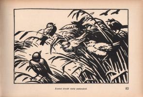 Haranghy Jenő: 
A rajzolás iskolája. Kezdettől a művészetig. Írta és rajzolta Haranghy Jenő. 130 ra...