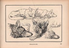 Haranghy Jenő: 
A rajzolás iskolája. Kezdettől a művészetig. Írta és rajzolta Haranghy Jenő. 130 ra...