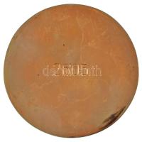 Palotás József (1947-) DN "Dunai Vasmű 25 éves Törzsgárdatag" öntött bronz plakett, hátold...