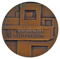 DN "Összefogással a fejlődésért" egyoldalas bronz emlékérem (70mm) T:AU