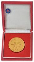 1974. "Csepel Autógyár 25 év" kétoldalas, aranyozott fém emlékérem, hátoldalán "475" gravírozással, eredeti tokban (40mm) + jelvény (14mm) T:AU
