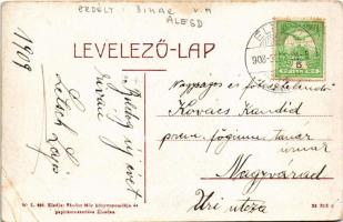 1908 Élesd, Alesd; látkép. W.L. 293. Sándor Mór kiadása / general view (EB)