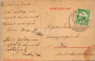 1910 Csákigorbó, Csáki-Gorbó, Garbou; Báró Jósika kastély. Piskoti Zoltán gyógyszerész kiadása 236. ...