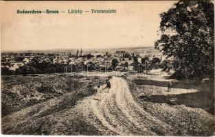 Szászváros, Broos, Orastie; Totalansicht / látkép, templom, út. Szászvárosi Könyvnyomda R.T. kiadása (kopott sarkak / worn corners)