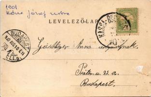 1902 Gödöllő, Az Erzsébet királyné (Sisi) szobor leleplezési ünnepe, a királyi család megérkezése. K...