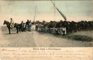 1907 Hortobágy, ménes itatás, gémeskút, csikós (fl)