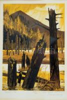 Portik Sándor (1959 - ) : Gyilkostó. Linómetszet. papír. Jelzett. 21x15 cm Üvegezett keretben