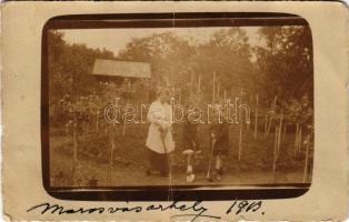 1913 Marosvásárhely, Targu Mures; gyerekek a kertben / children in the garden. photo (fa)