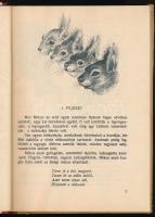 Tersánszky Józsi Jenő: Misi Mókus kalandjai. Róna Emy rajzaival. Bp., 1954, Ifjúsági Könyvkiadó. Más...